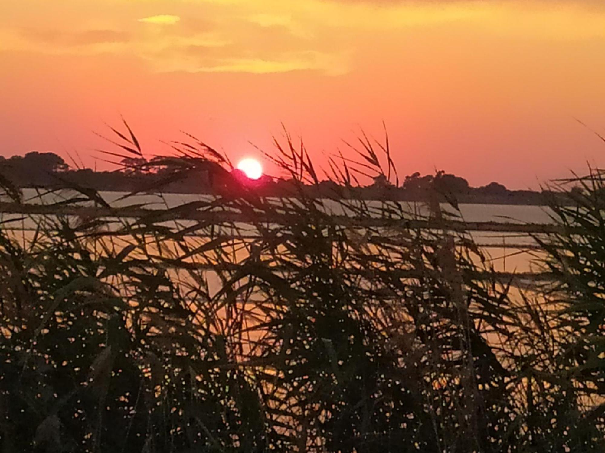 Sunrise Stagnone - Seafront Kitesurf Bed & Breakfast Marsala Rom bilde