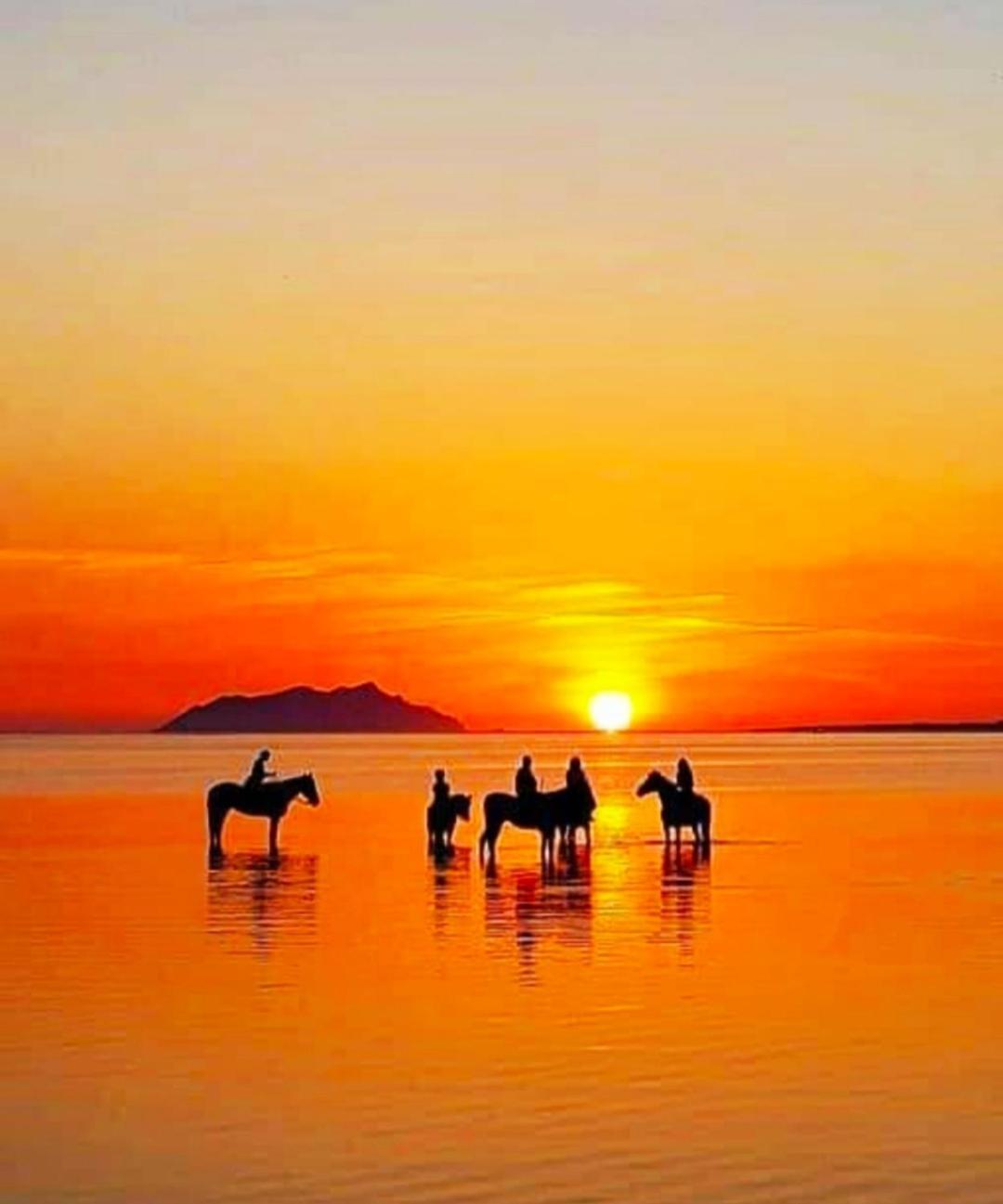 Sunrise Stagnone - Seafront Kitesurf Bed & Breakfast Marsala Eksteriør bilde